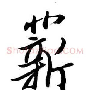 薪