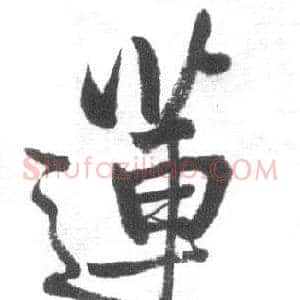 蓮