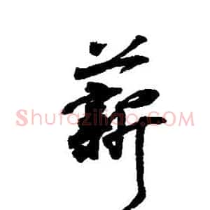 薪