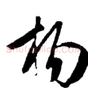 杨