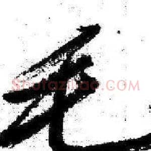 毛