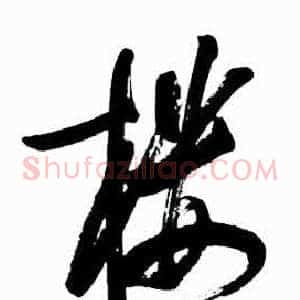 楼
