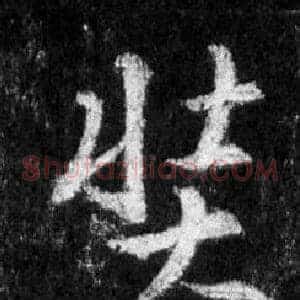 奘