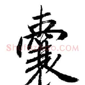 囊