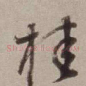 桂