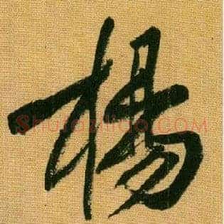 杨
