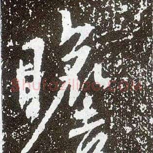 瞻