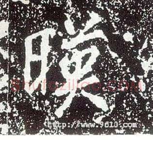 映