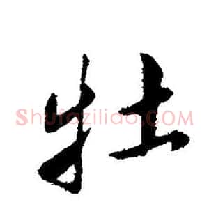牡