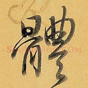 體