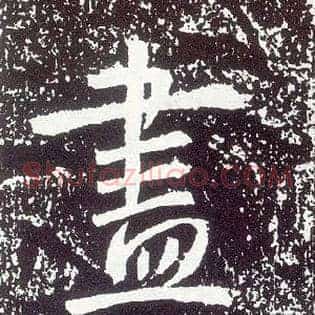 盡