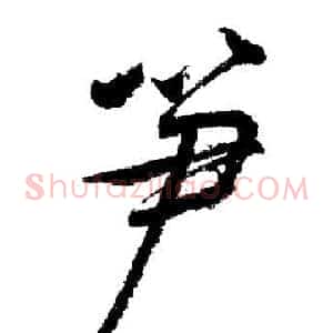 笋