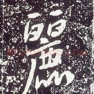 丽