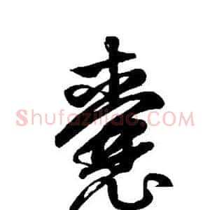 囊