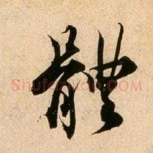 體