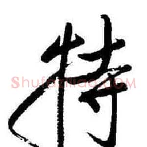 特
