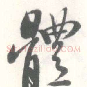 體