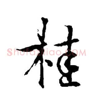 桂