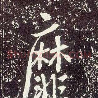 靡
