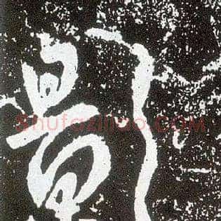 影