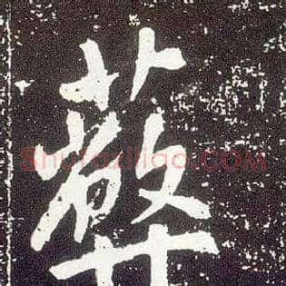 蔽