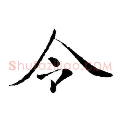 令