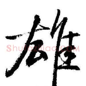 雄