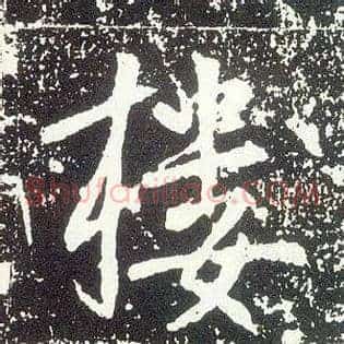 楼
