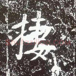 栖