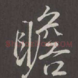 瞻