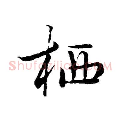 栖