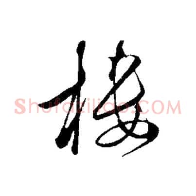 樓