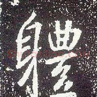 体