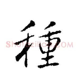 種