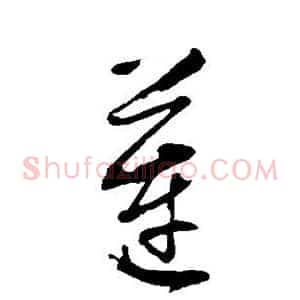 莲