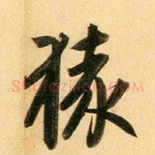 猿