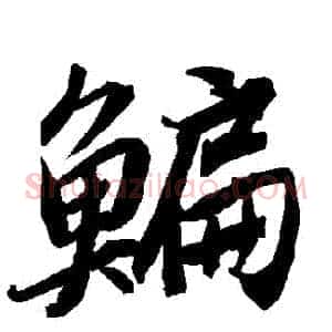鯿