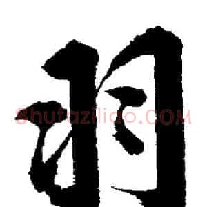 羽