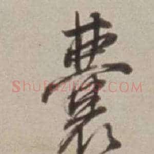 囊