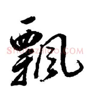 飘