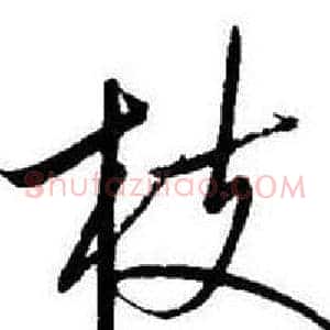 枝
