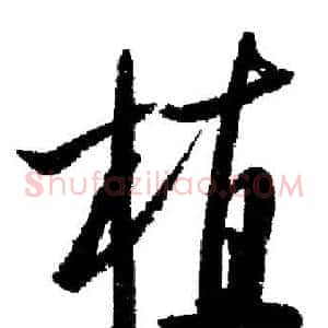 植