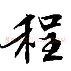程