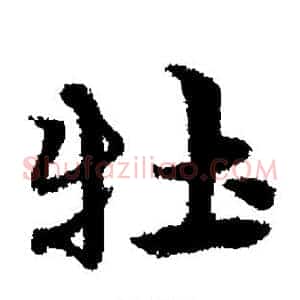 牡