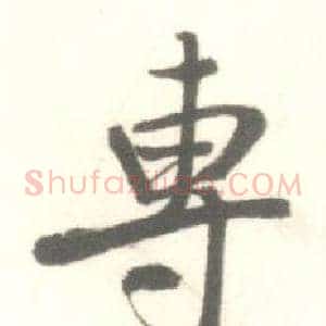 專