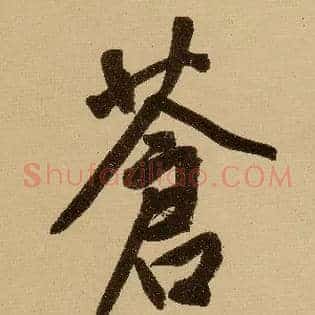 苍