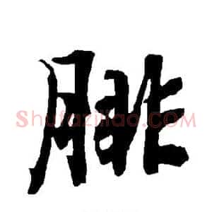 腓