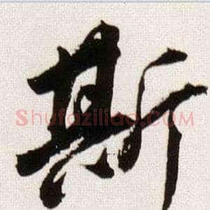斯