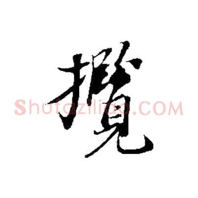 攬