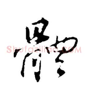 体